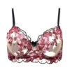 Carol Coelho Embroidered Tulle And Velvet Bra