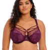 Elomi Brianna Underwire Plunge Bra