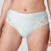 Prima Donna Nuzha Full Brief