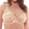 Elomi Morgan Underwire Banded Stretch Lace Bra