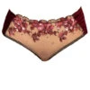 Carol Coelho Embroidered Tulle And Velvet Low Rise Brief